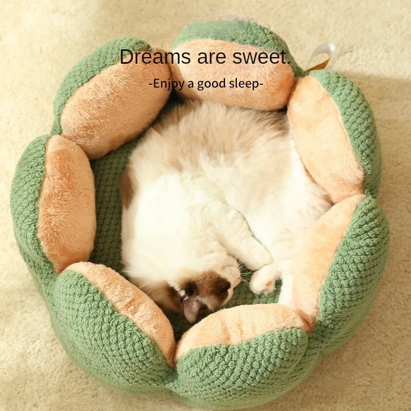 S3d5bb24f29c64cf2bb8ffa0329ea1209L